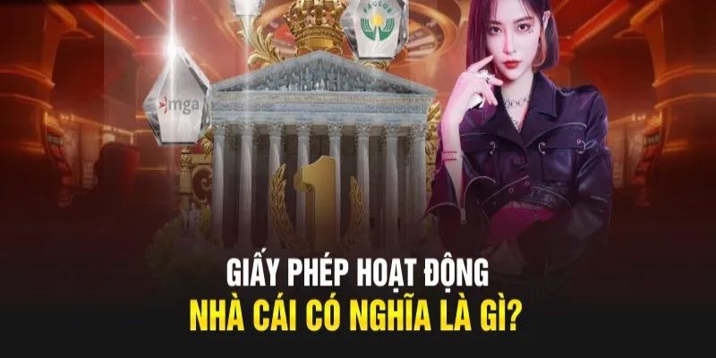 Đôi nét thông tin cơ bản về giấy phép hoạt động của nhà cái