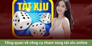 Giới thiệu về man vip tại ABC8